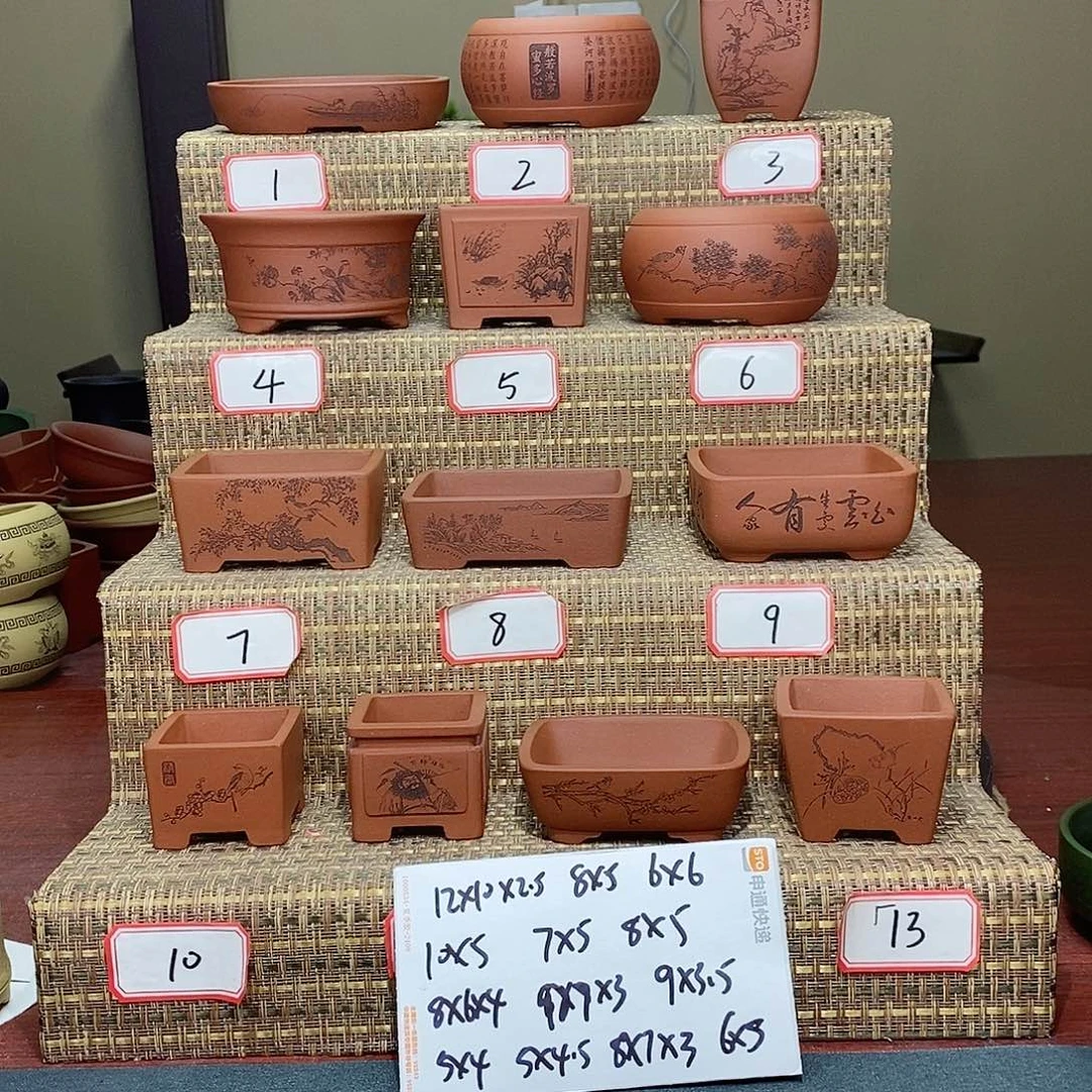 紫砂花盆我在等一哈