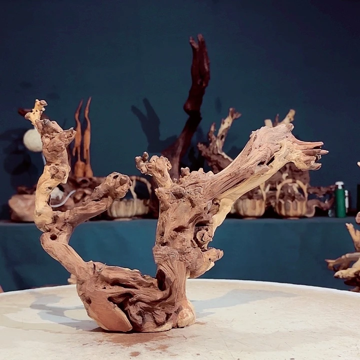 广***司木922 金丝红木羊蹄甲半成品