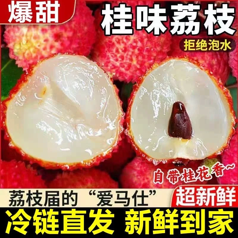 【精品桂味荔枝冷链运输】纯甜口感新鲜现摘坏果包赔