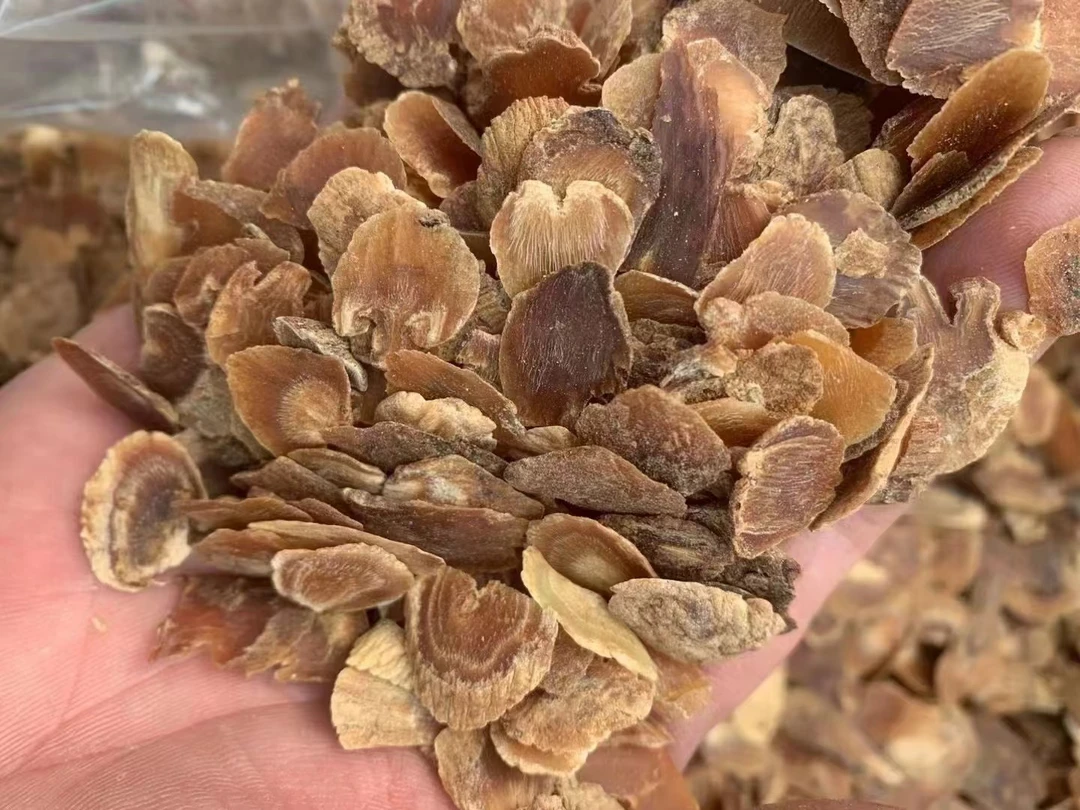 （粒嫂专属）高丽参头尾片一斤