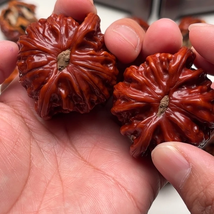 黑***黑45尺。白狮子 全品