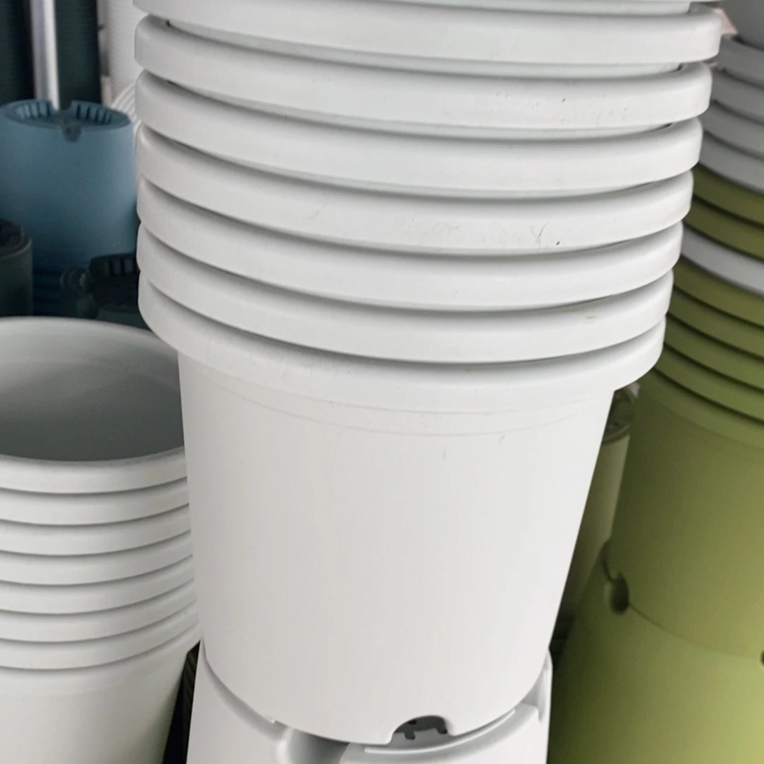 树脂范*20个21口奶白无