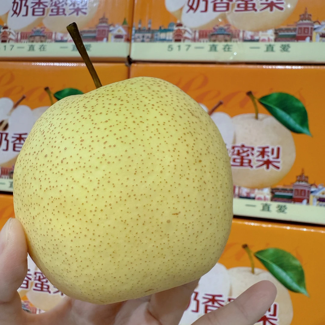 「517专供」奶香蜜梨