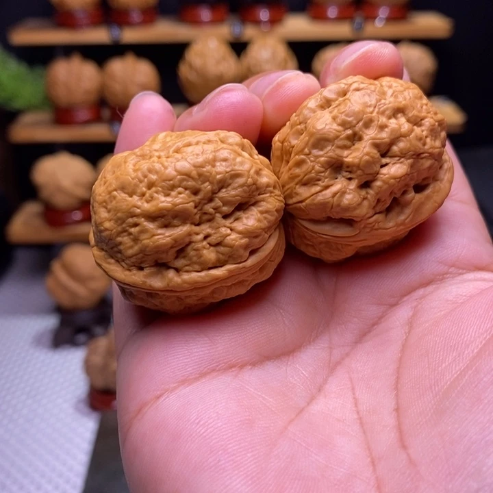 核桃云铁帝王蝉20号