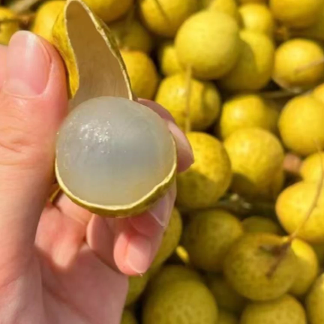 泰国龙眼1000g