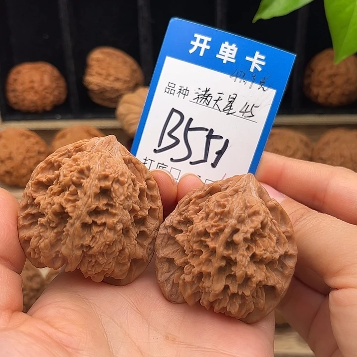 吊坠文玩核桃白茬满天星45