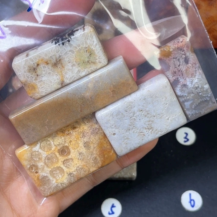 硅化珊瑚（珊瑚玉）珠宝金石合金?****?