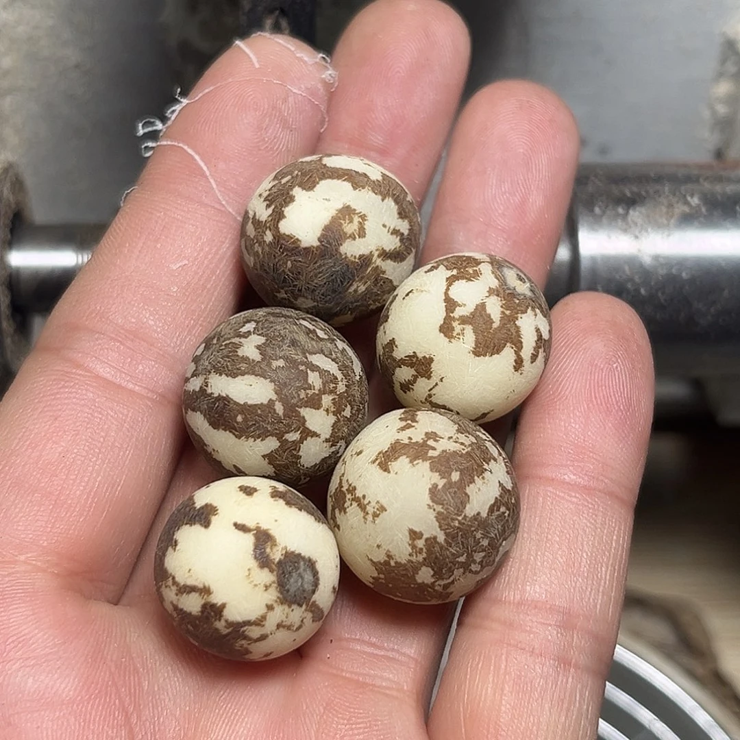 菩提根/象牙果手串