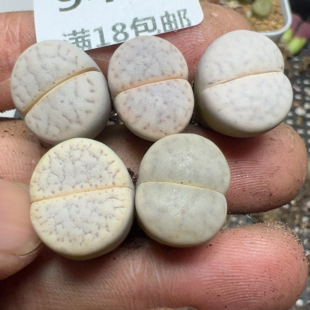 【闪购商品】 943。