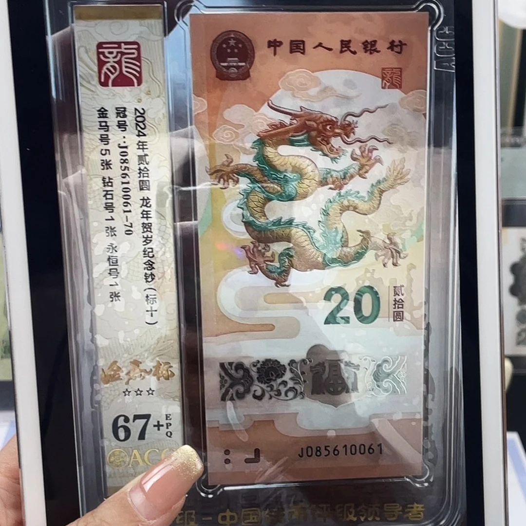 塑料龙队金马标十61组，67➕