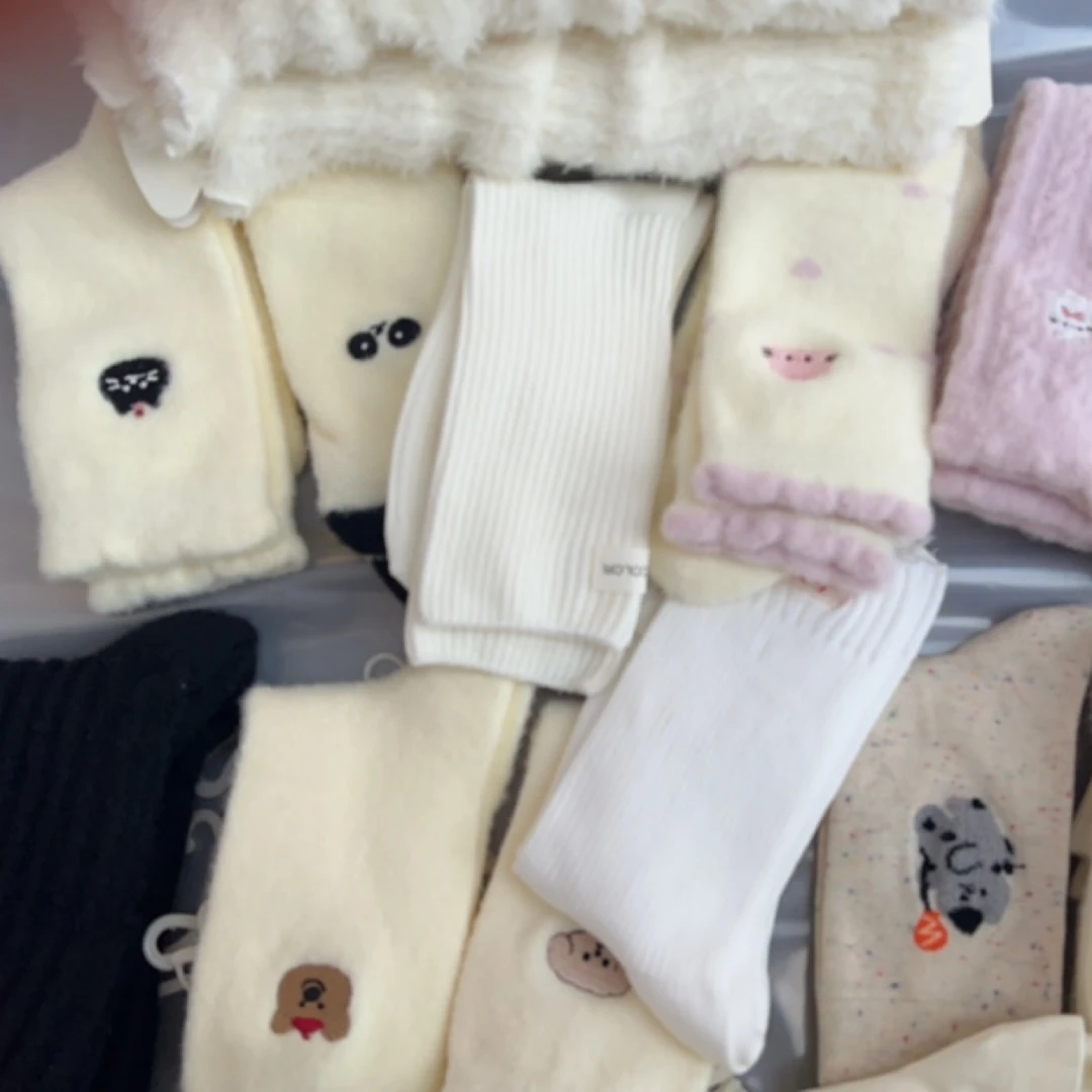 秋冬新款加绒加厚中筒点子纱刺绣女袜可爱学院风堆堆袜