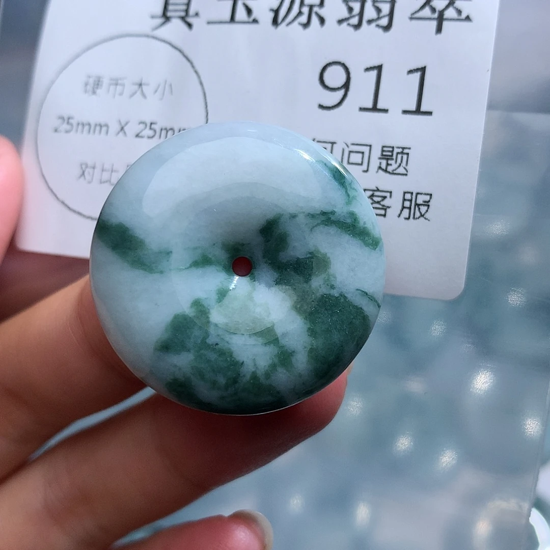 翡翠未镶嵌颈饰911