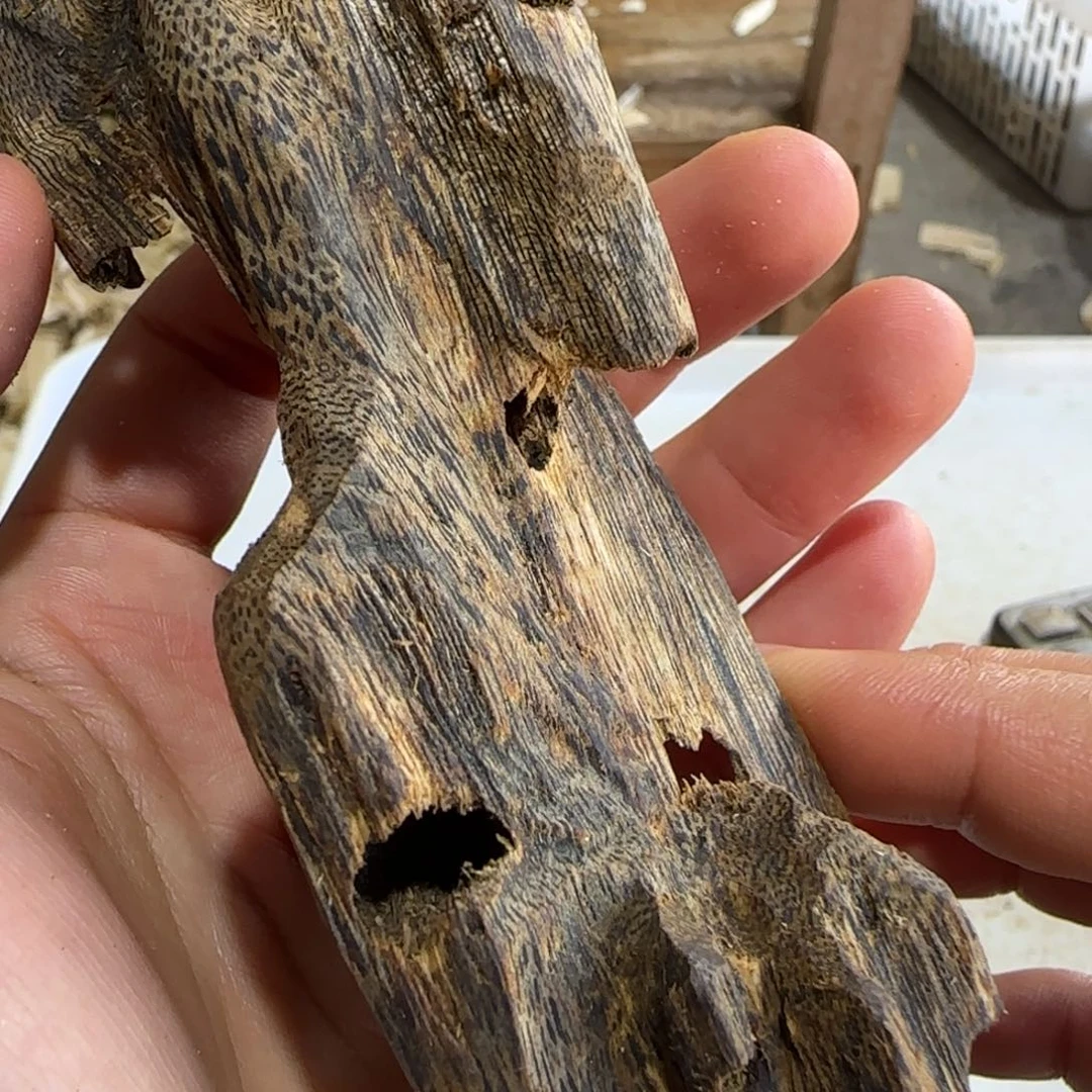 沉香沉香碎屑精品虫漏一个