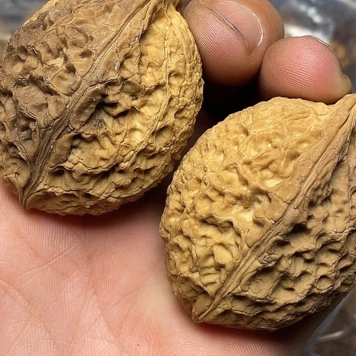 把件文玩核桃云南志成云铁31