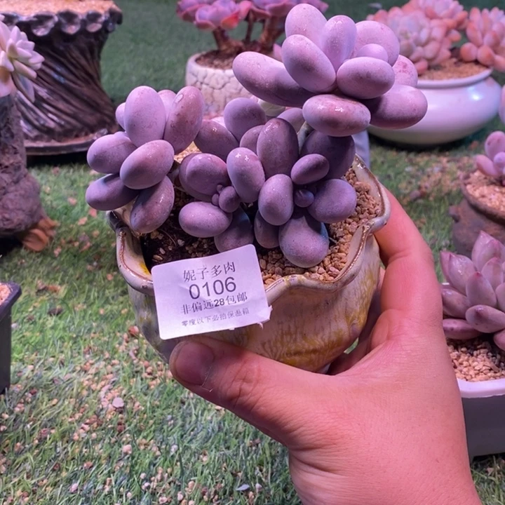 0106啊啊啊啊啊啊啊啊啊啊啊啊