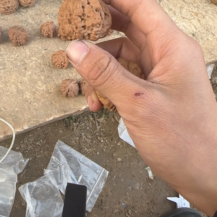 v***a文玩核桃把件蛤蟆头