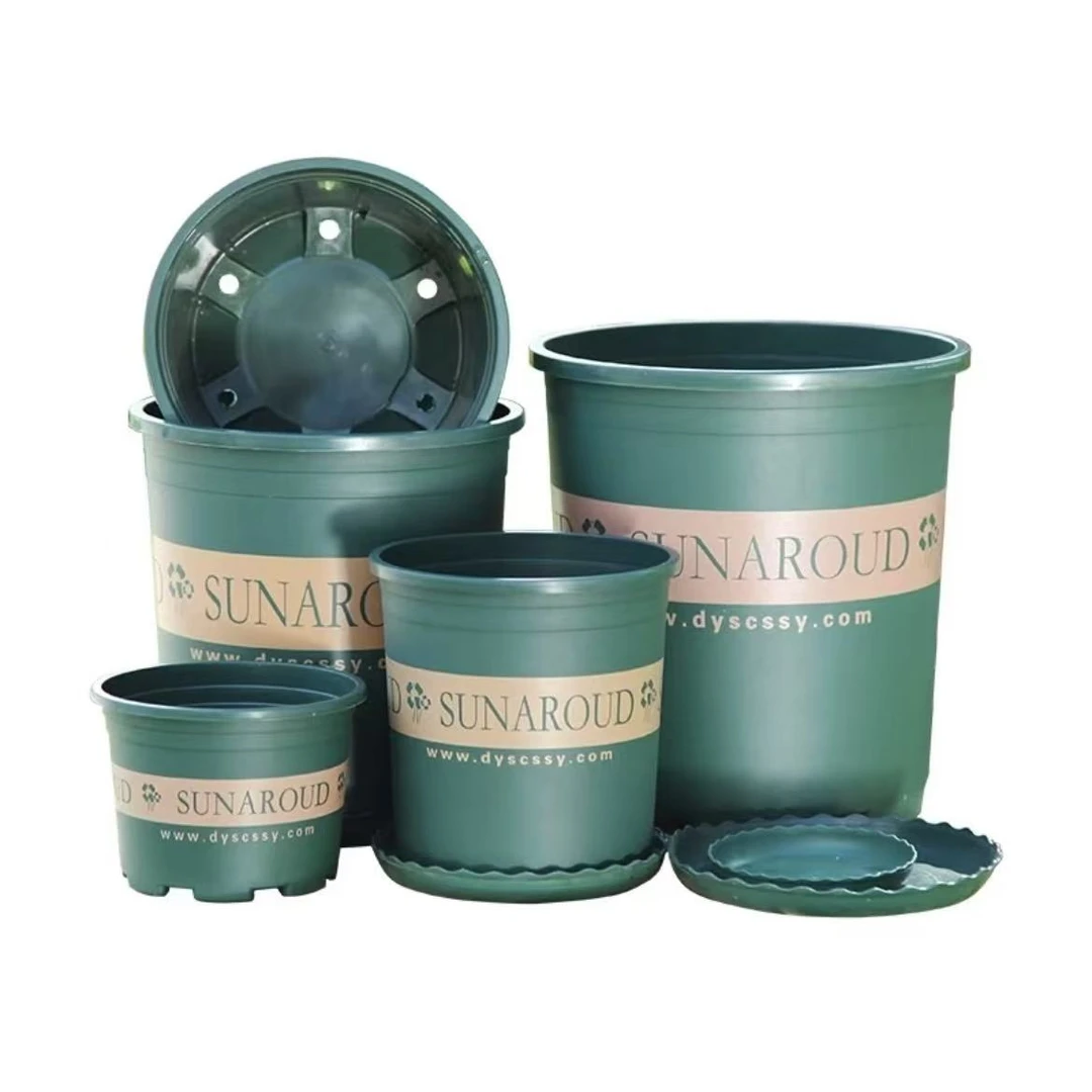 青山控根盆庭院阳台适用开花类花卉种植