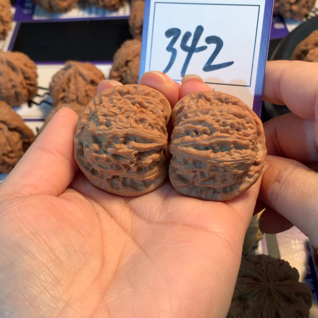 把件文玩核桃342白狮子4.0