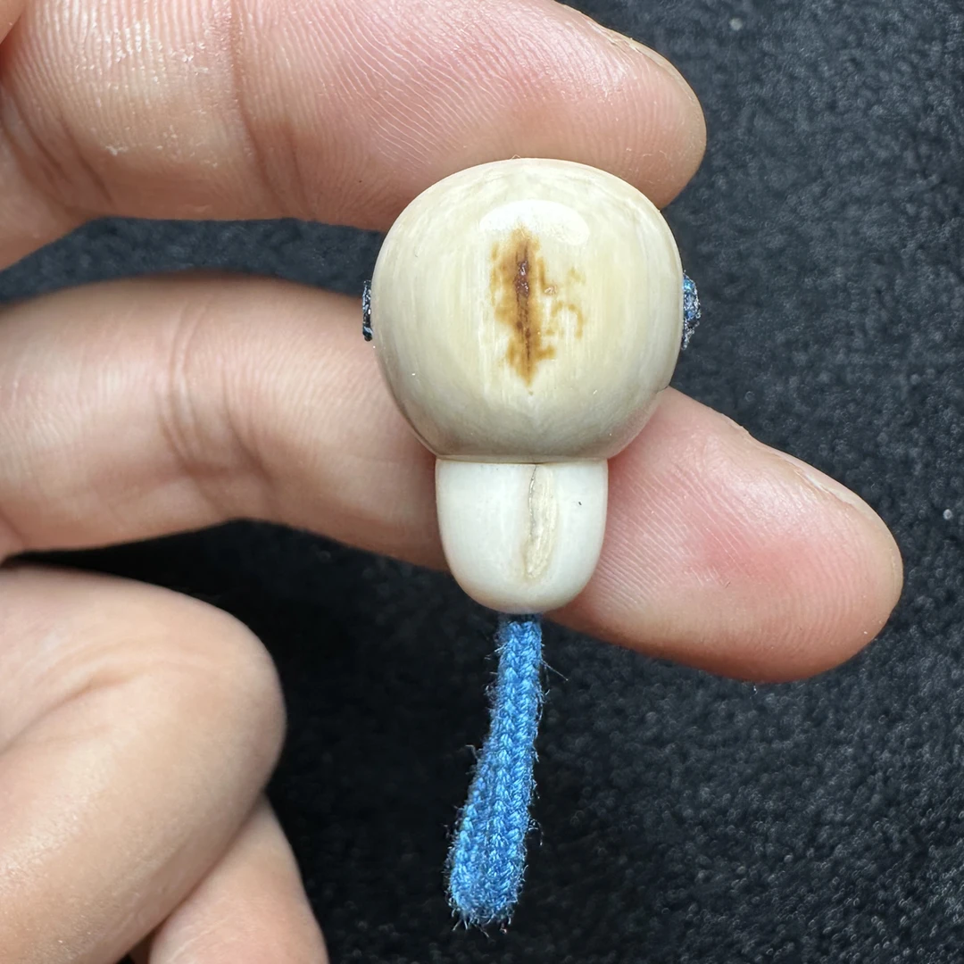 F269猛犸象牙对孔17冰料果冻料分体胖墩三通