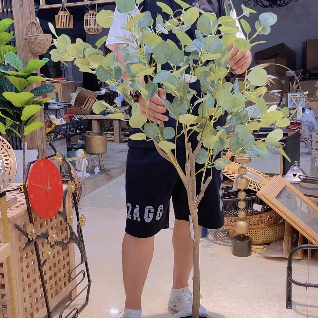 红陶红陶红陶红陶