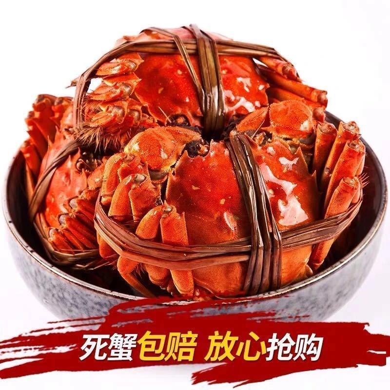 【活蟹直发】江苏大闸蟹 公蟹4.0-3.7两 母蟹3.0-2.7两 6-8-10只装 次日达