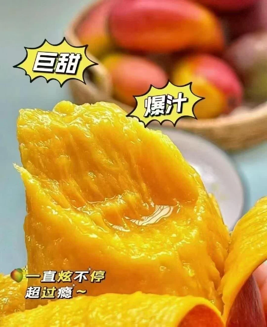 【巨甜爆汁】七彩贵妃芒果（大果）一串一串挂在果树上皮薄多汁