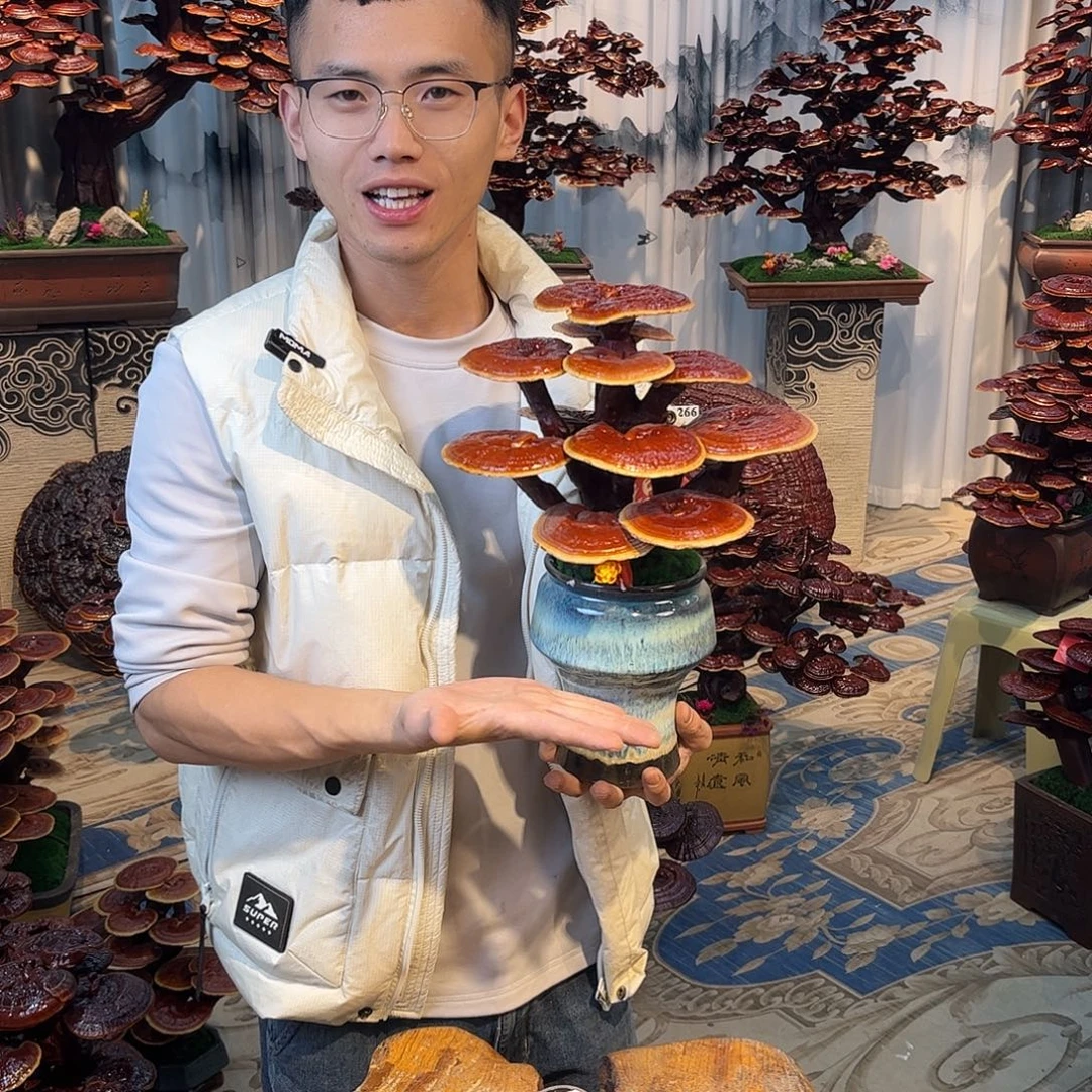 无花朵88888888888