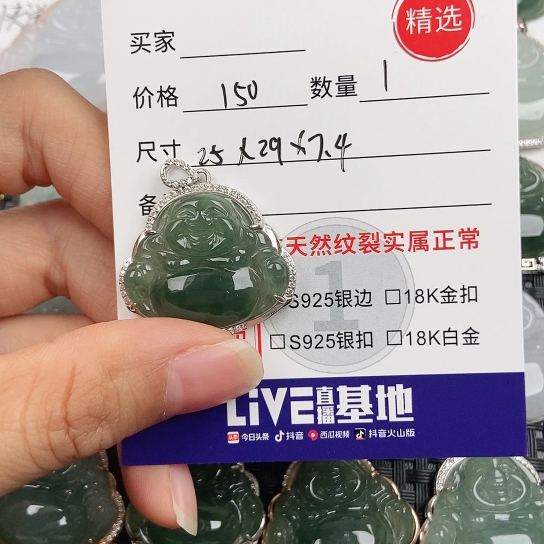 翡翠银S925镶嵌颈饰