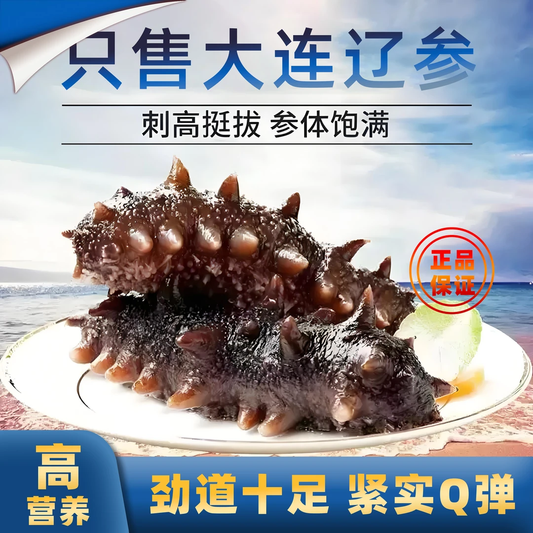 【新日期】新鲜大连海参非泡发无保水剂冷冻即食到手30根