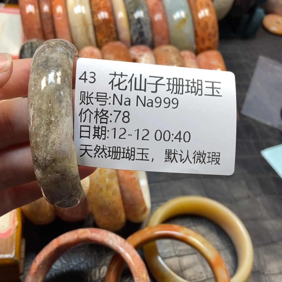N***9硅化珊瑚（珊瑚玉）未镶嵌珠宝半成品43