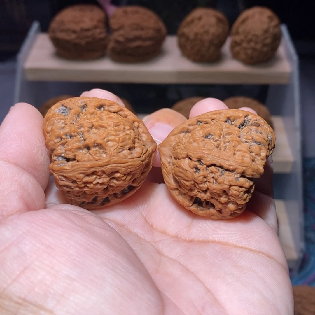 吊坠文玩核桃2012年涿鹿老树南疆石蝴蝶