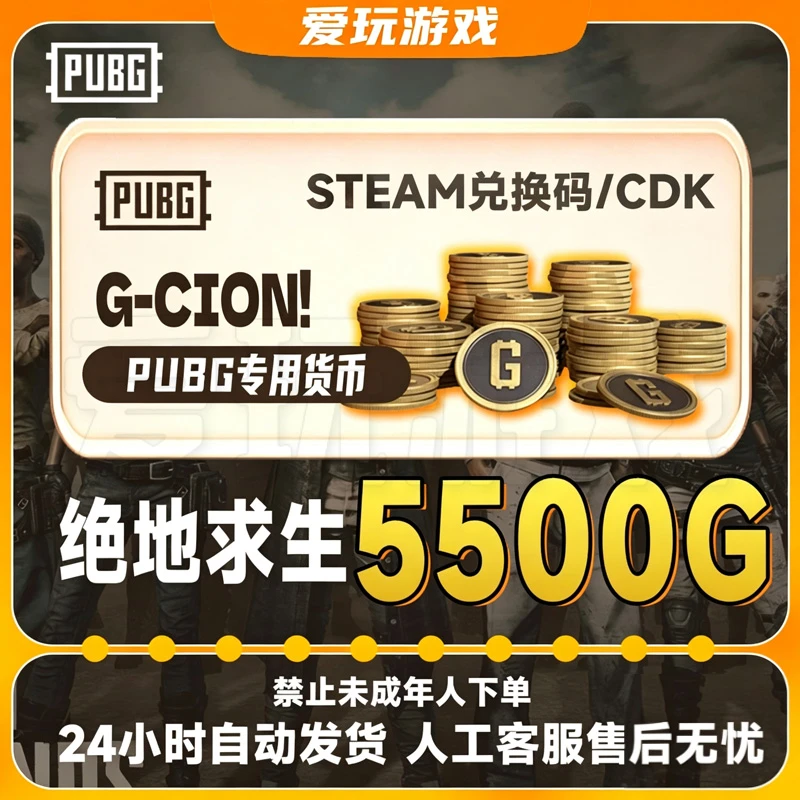 PUBG G币5500G-coin 绝地求生Steam端游 CDK游戏币 金币 兑换码