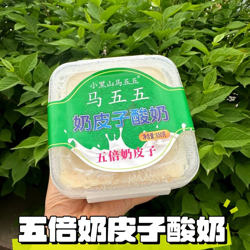正品马五五老酸奶版五倍加量奶皮子内蒙经典老式酸奶奶皮倍