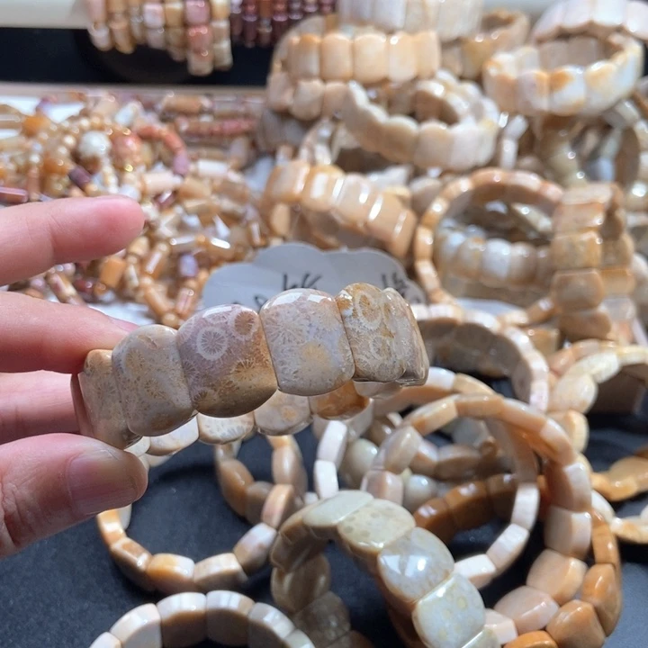 硅化珊瑚（珊瑚玉）未镶嵌颈饰
