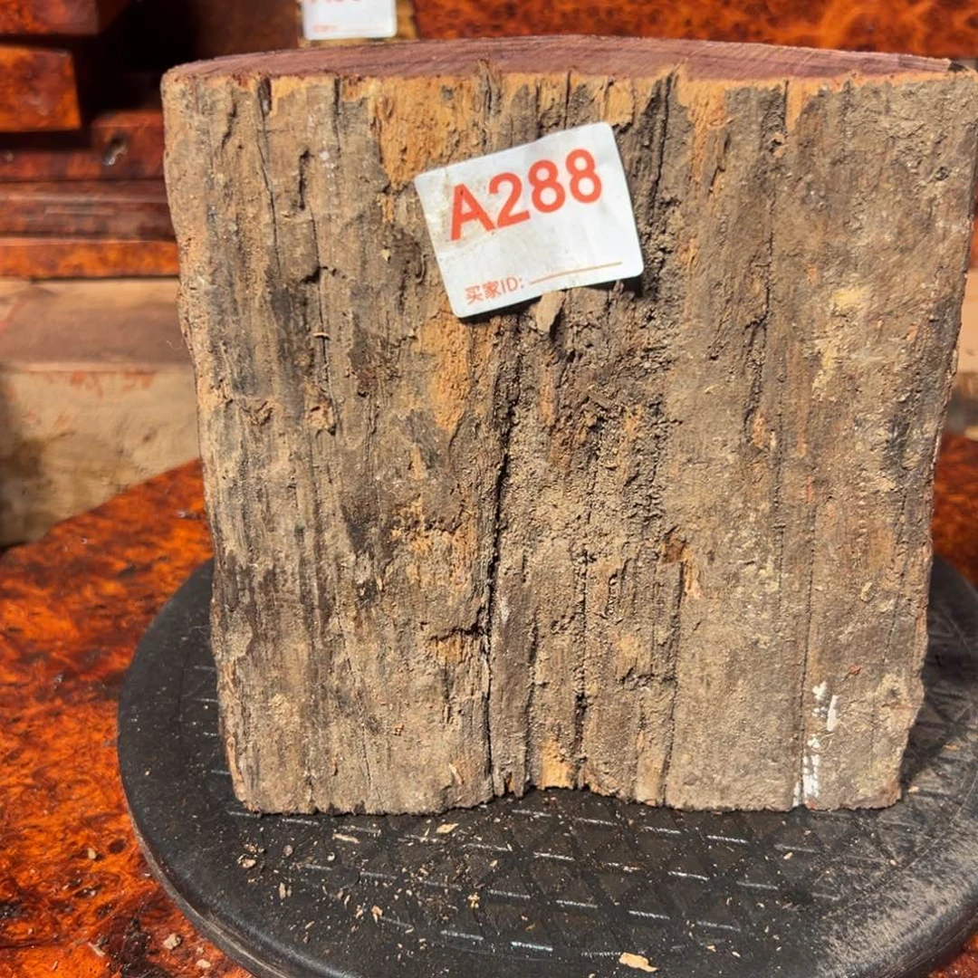 大果紫檀（缅甸花梨）