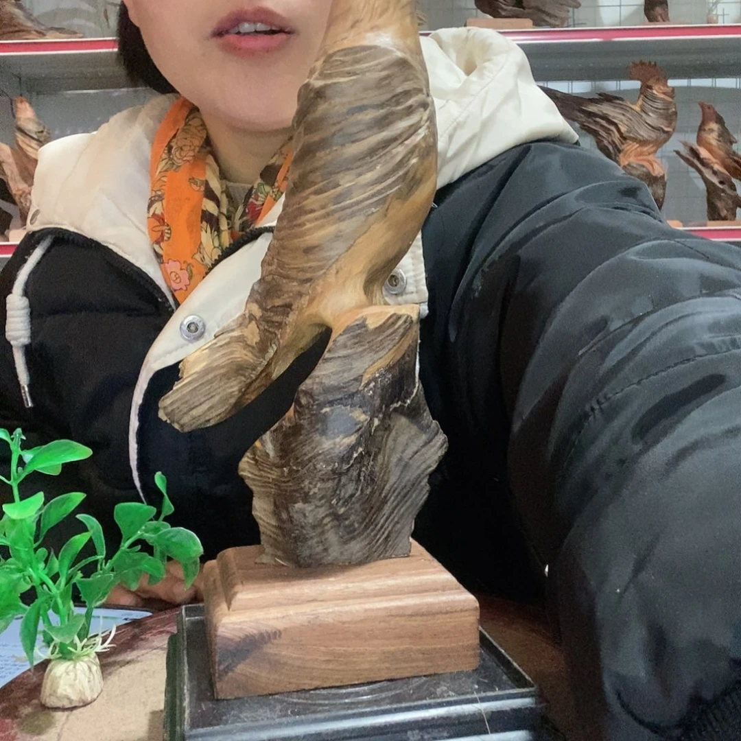 松木洪****眼琥珀木自然精美摆件