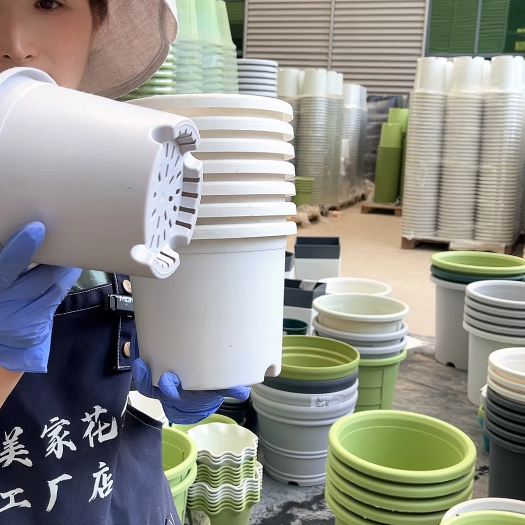 四季盆2#灰白色10个无托
