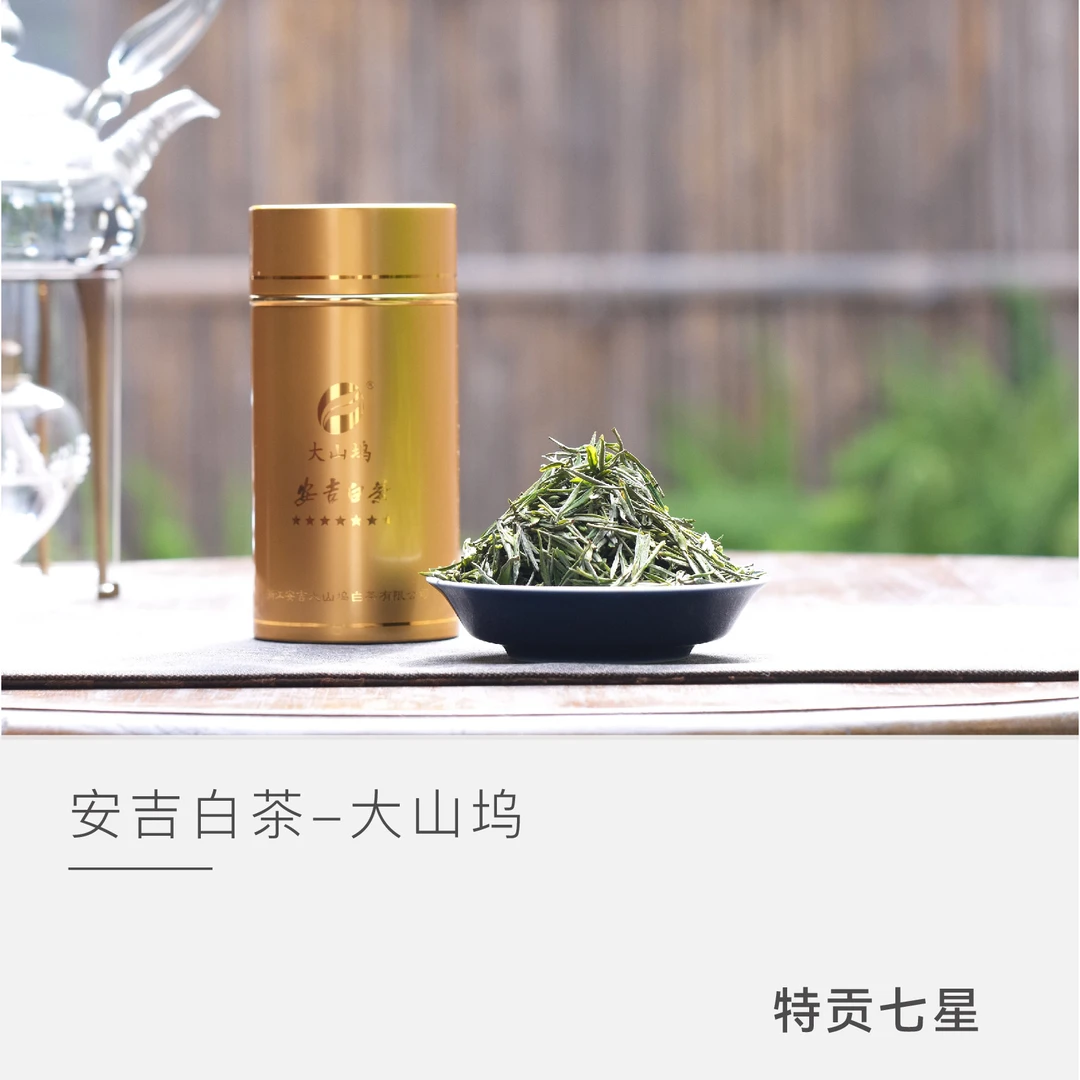 【特贡七星】大山坞 安吉白茶 兰花香 鲜爽 2025年 云人访甄选