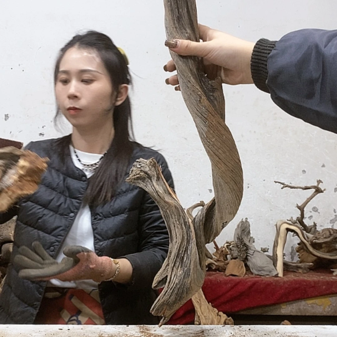 【闪购商品】柏木牡*峰我们都是好孩子