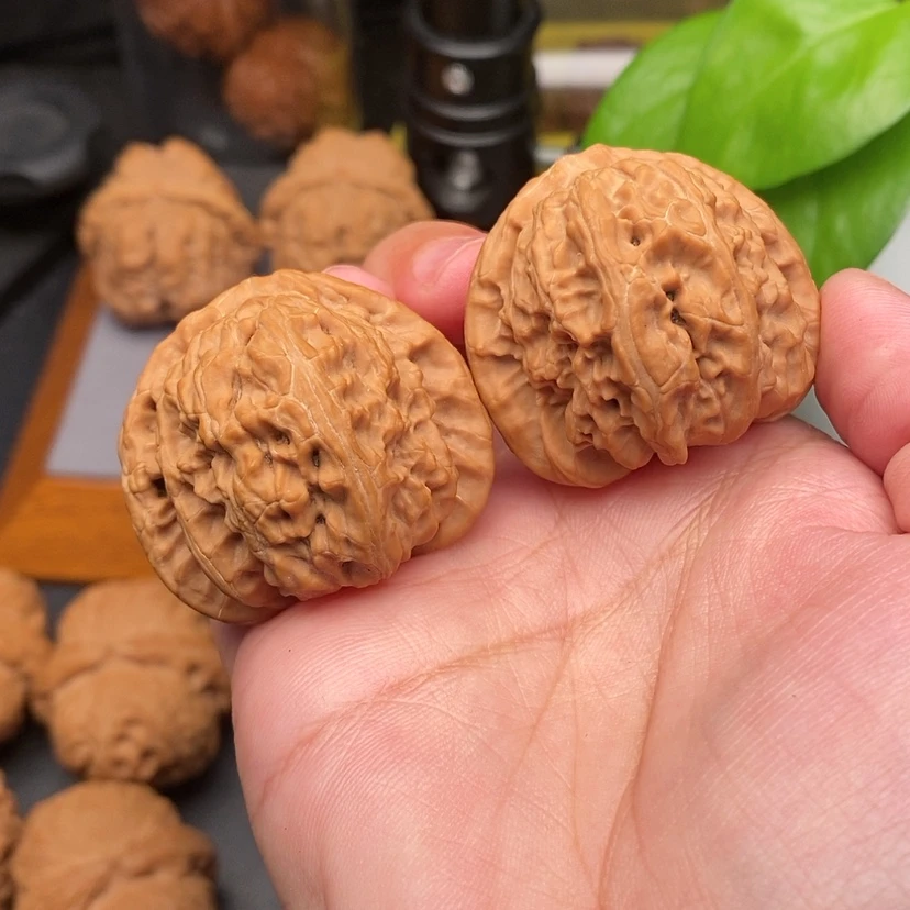 【闪购商品】文玩核桃把件白狮子全品39