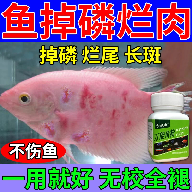 观赏养殖专用鱼塘鱼烂鳞烂尾烂鳃白毛腐皮鱼鳞充血红点长寄生虫