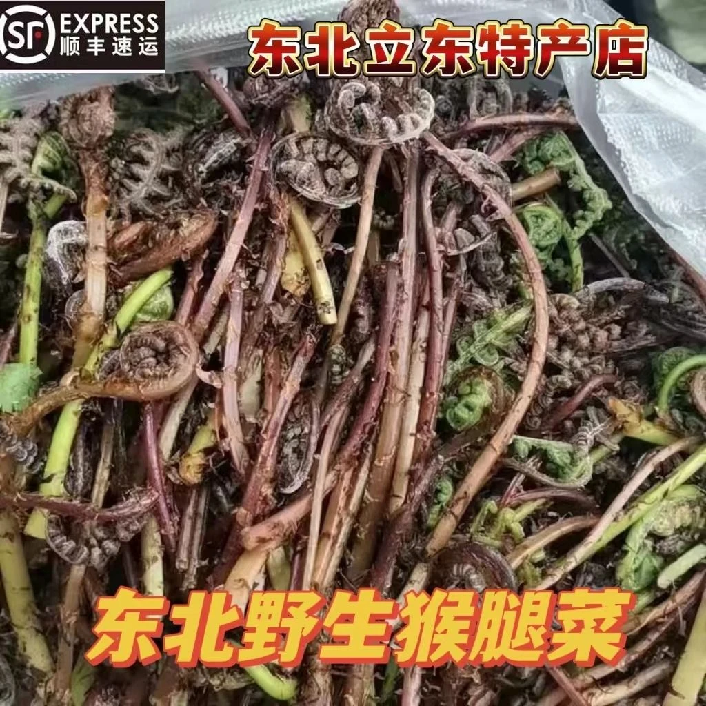 东北特产猴腿菜（广豆菜）焯水速冻野生猴腿菜