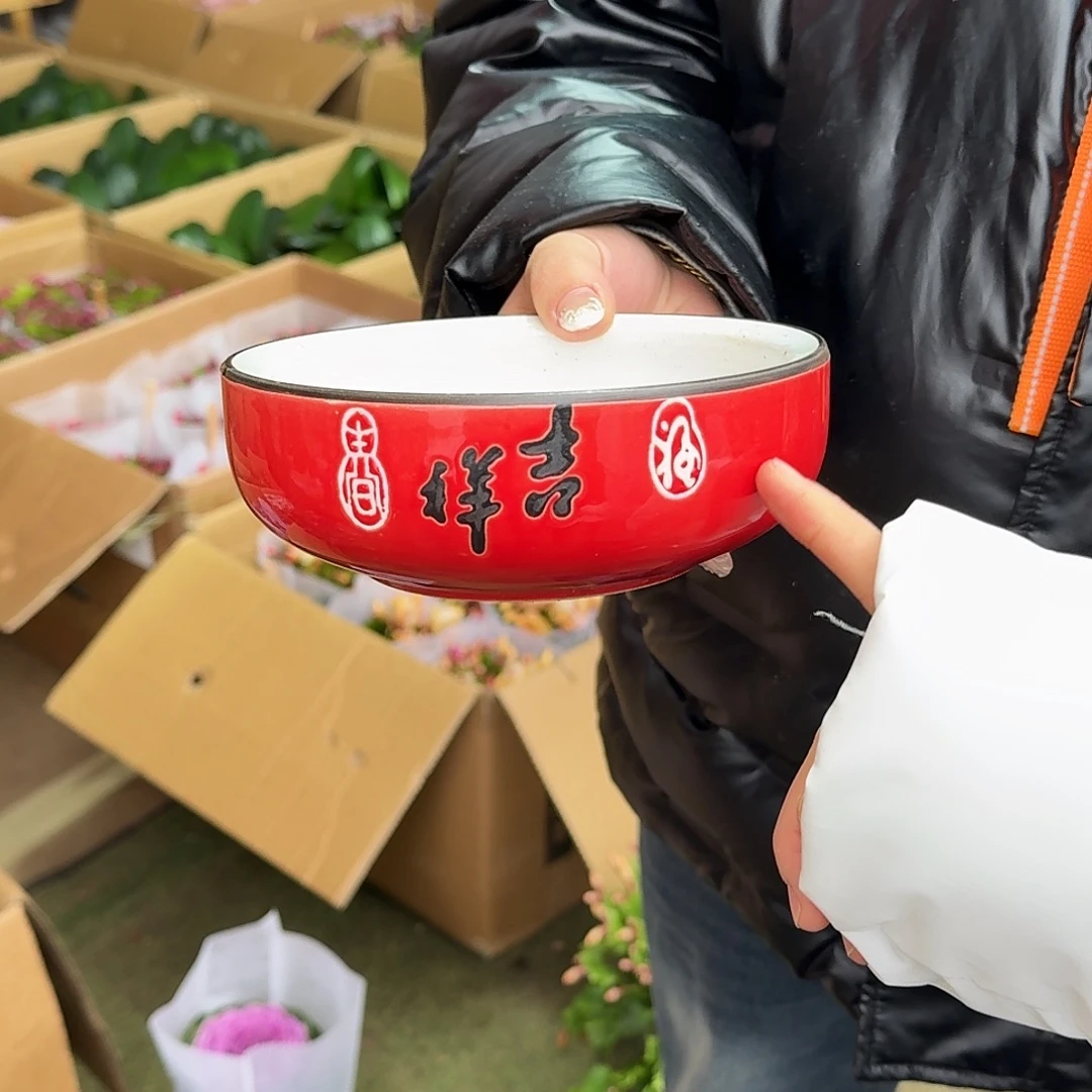 完全开放水培盆栽盆