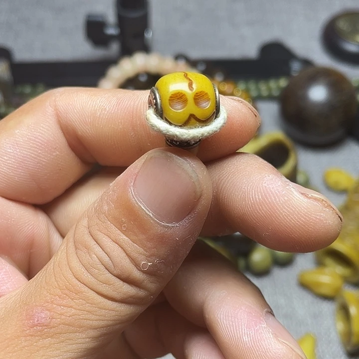 大果紫檀（缅甸花梨）