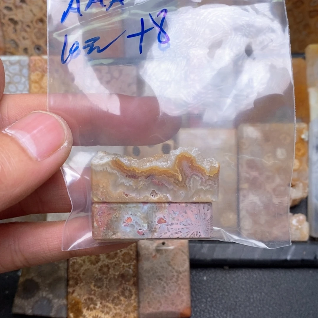 A***发硅化珊瑚（珊瑚玉）未镶嵌颈饰