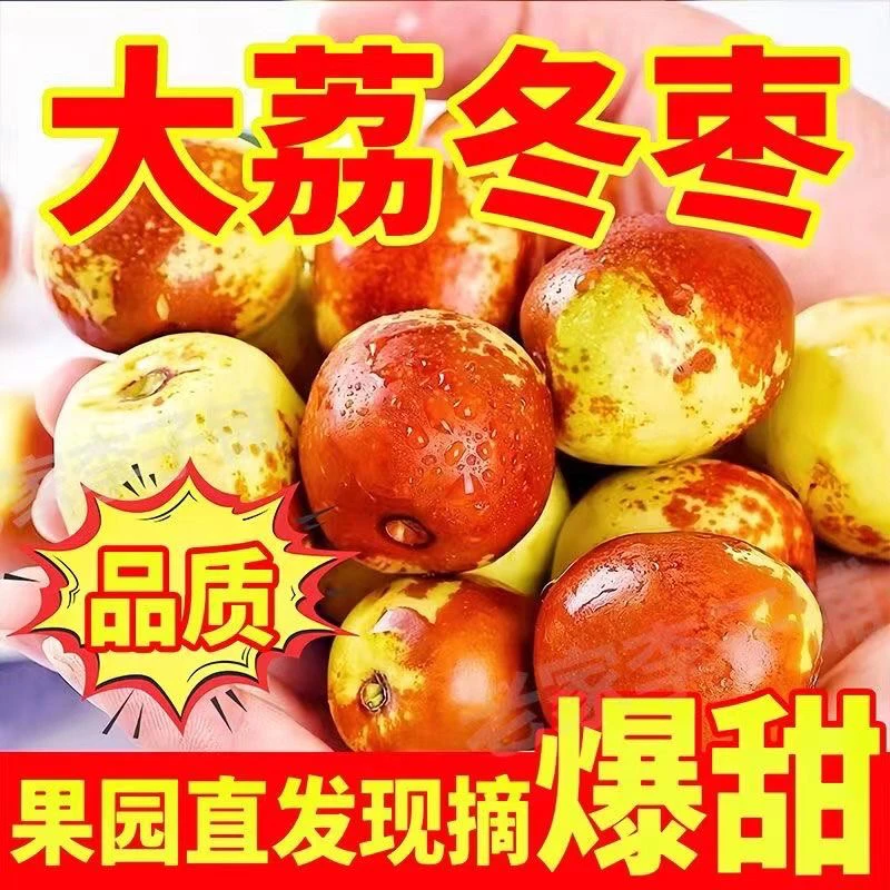 正宗大荔冬枣产地直发现摘现发脆甜可口当季新鲜水果-TT
