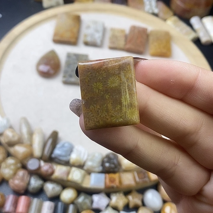 硅化玉未镶嵌颈饰3