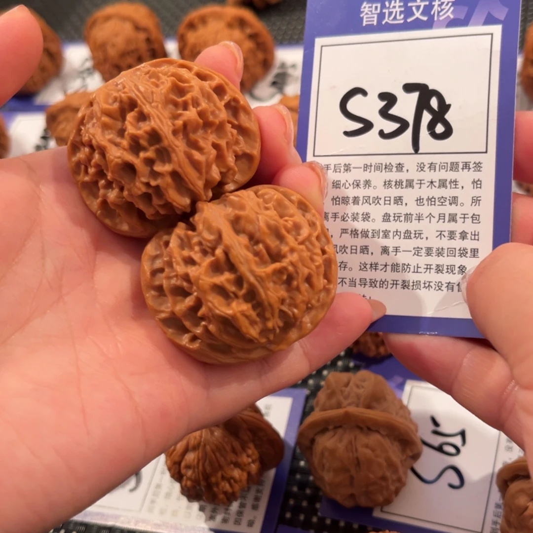 核桃S378号苹果园43尺