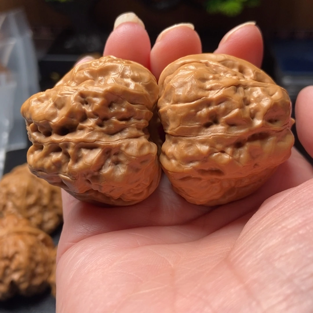 文玩核桃把件蛤蟆头40