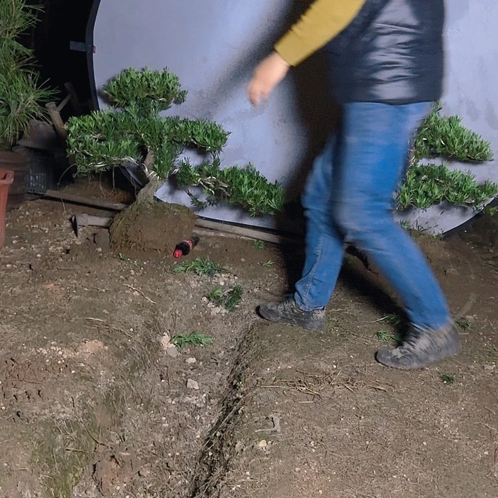 李***儿无花朵6666666666